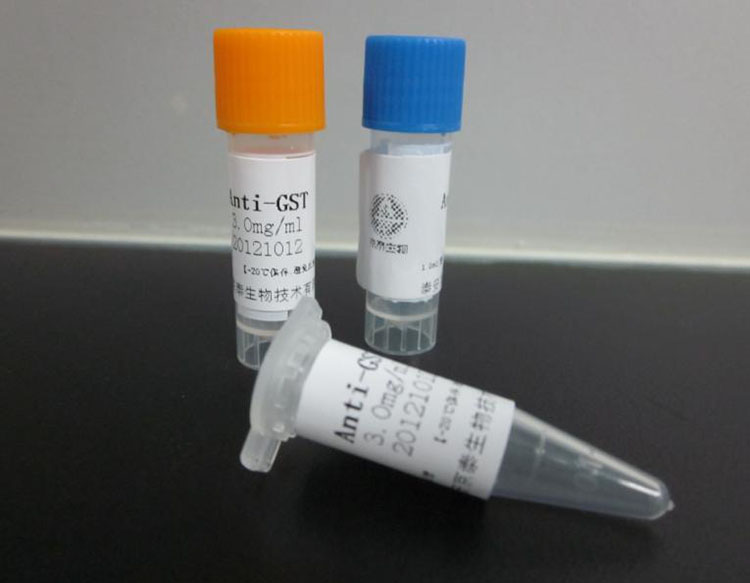 化工品國際貨代的報(bào)關(guān)流程